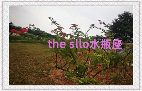 the sllo水瓶座